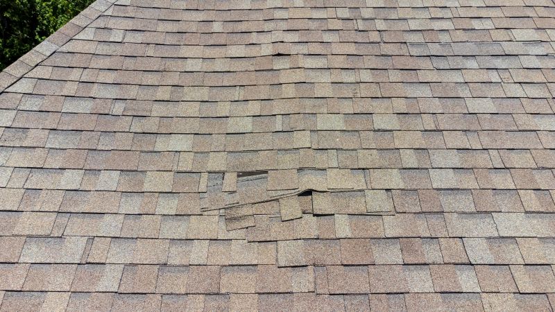 Asphalt Roof Inspection in Eaton, OH