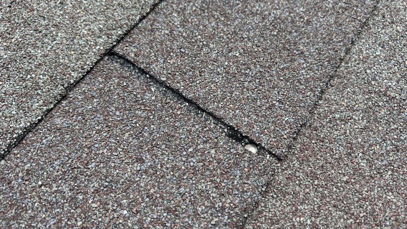 Asphalt Roof Repair in Wayne County, IN
