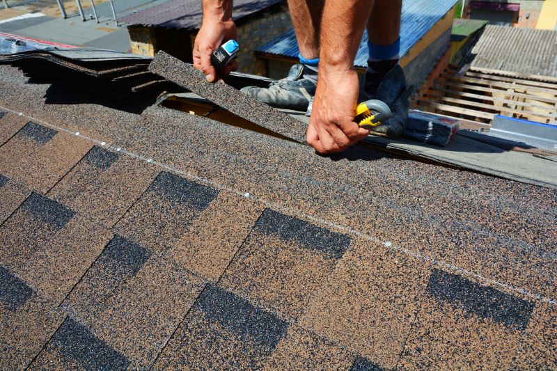 Asphalt Roof Repair in Winchester, IN
