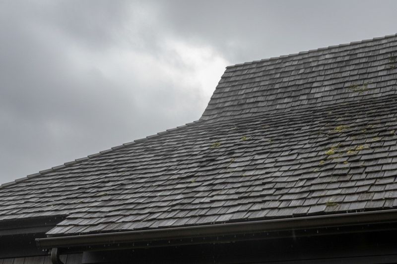 Cedar Roof Replacement in Wayne County, IN