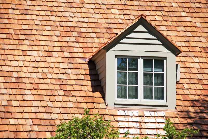 Cedar Shake Roof Repair in West Elkton, OH