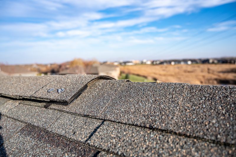 Damaged Roof Repair in New Paris, OH
