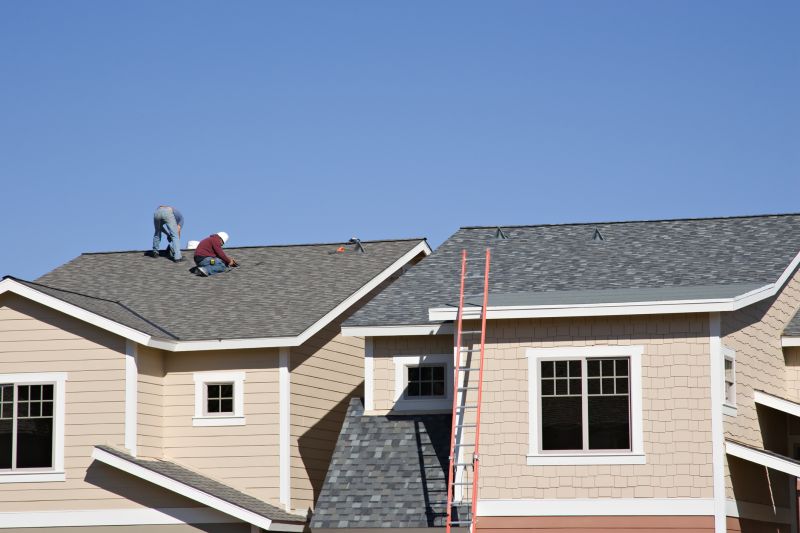 Damaged Roof Repair in West Elkton, OH