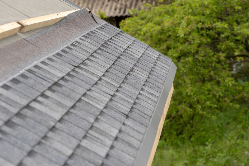 Damaged Roof Repair in West Elkton, OH