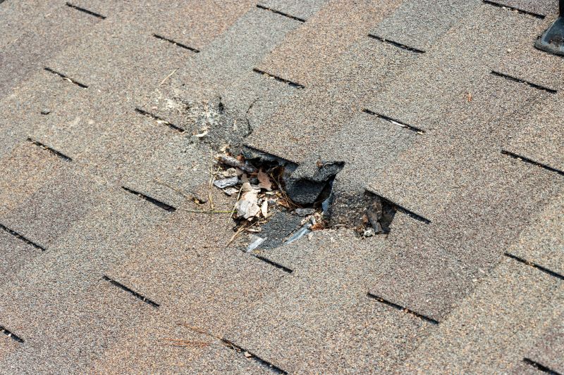 Damaged Roof Replacement in New Madison, OH