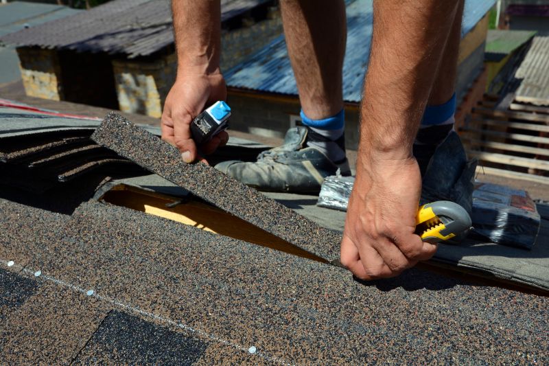 Shingles Repair in Eaton, OH