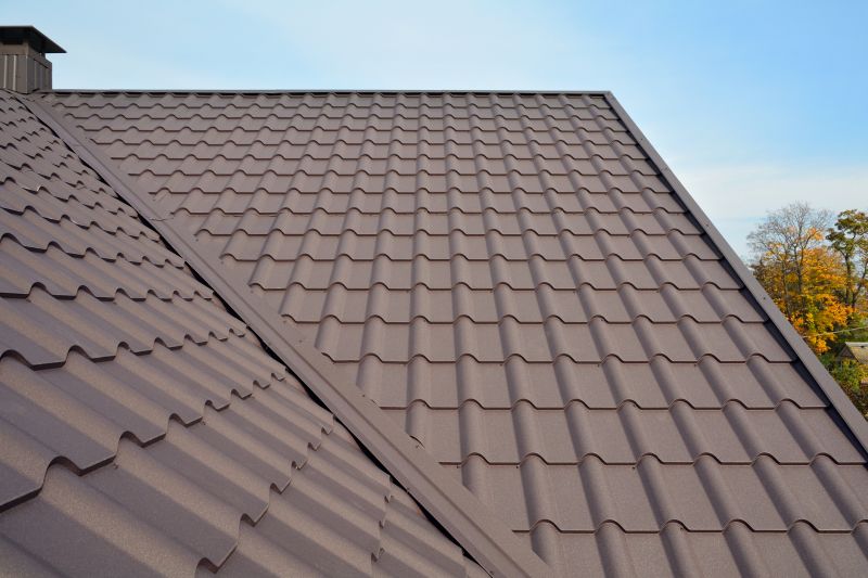 Tin Roof Installation in Henry County, IN