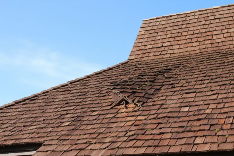 Wood Shake Roof Replacement in West Elkton, OH